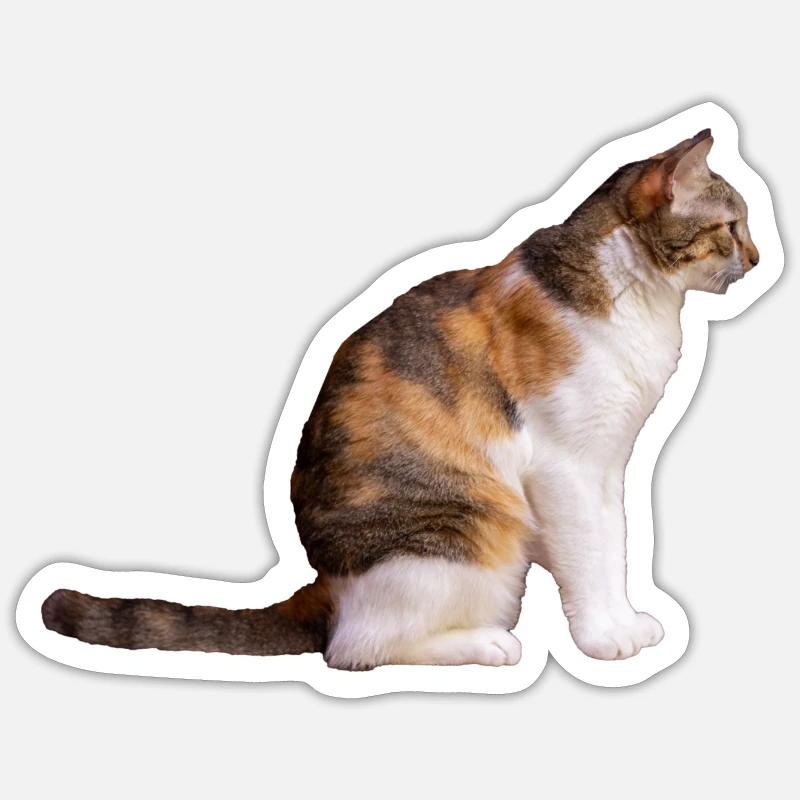la chatte - Sticker taille S (10 x 10 cm) - blanc mat