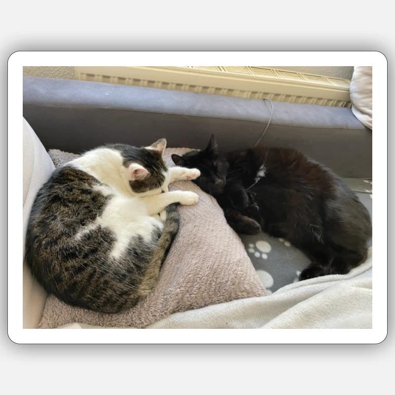 computer, laptop Sticker Größe S (10 x 10 cm)