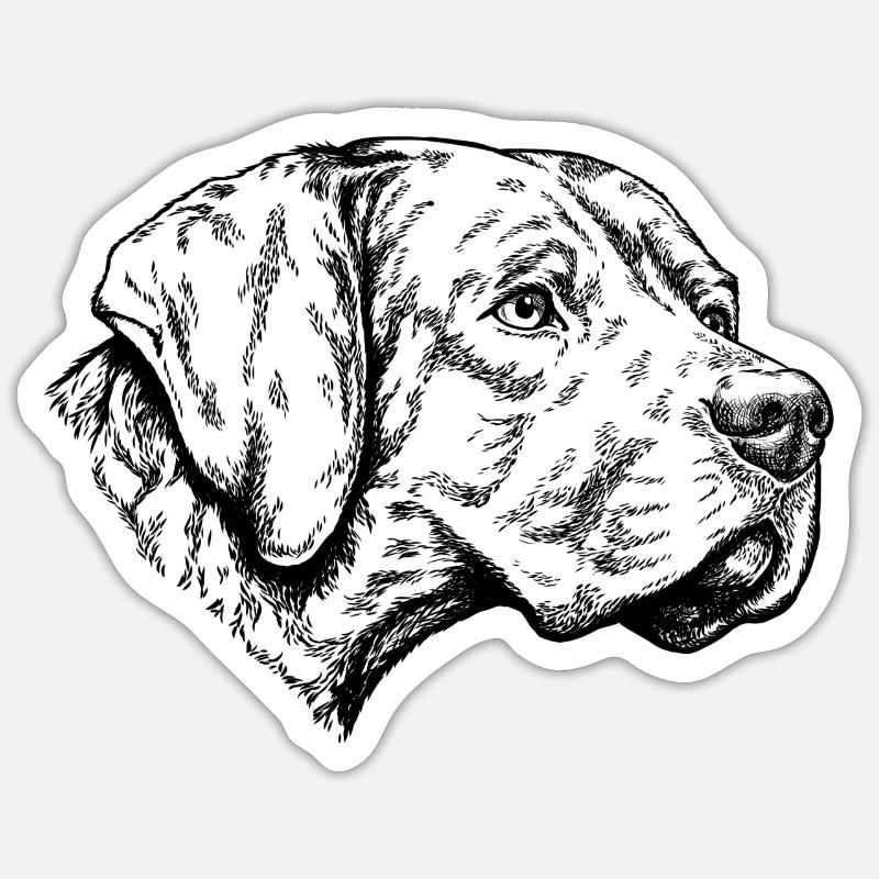 Braque du Bourbonnais Portrait - Sticker Größe S (10 x 10 cm) - Mattweiß