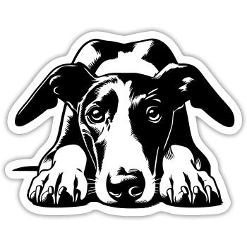 Galgo Head with Paws - Sticker size S (10 x 10 cm) - white matte - Front