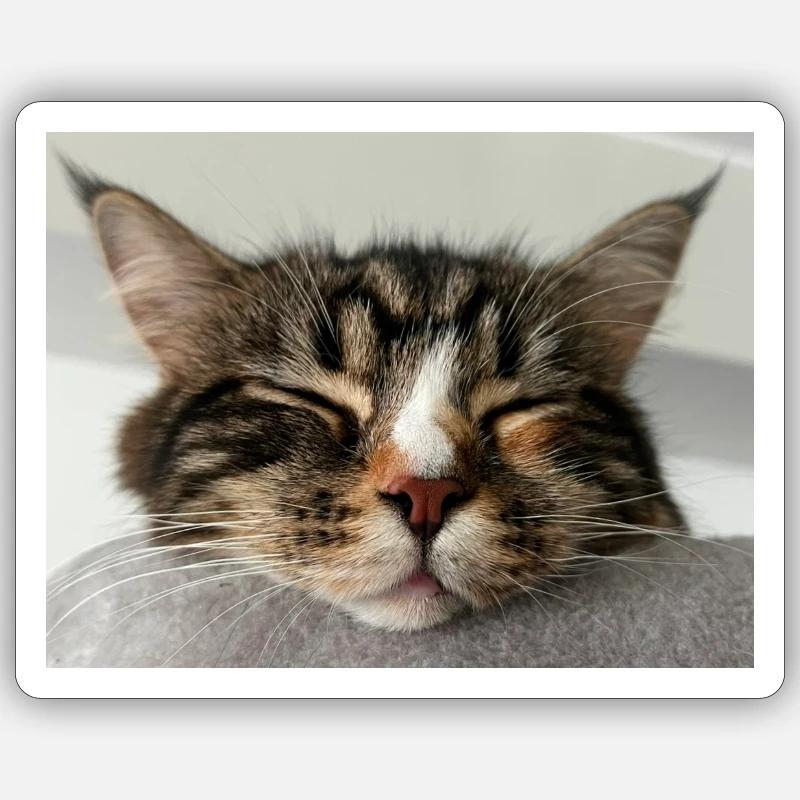 Katze - Sticker Größe S (10 x 10 cm) - Mattweiß