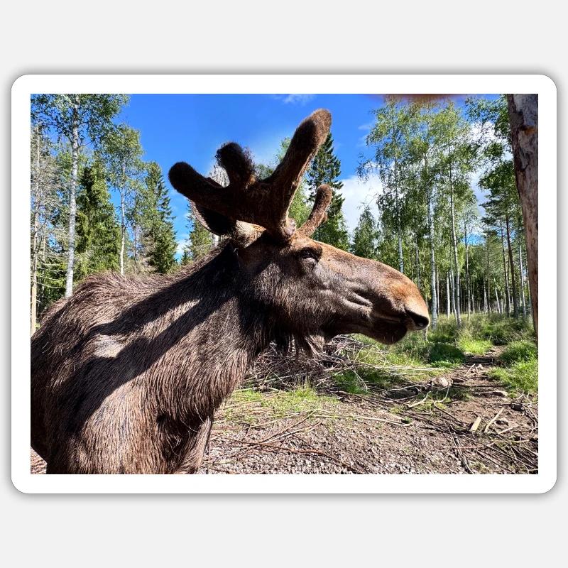 Elch Sticker Größe S (10 x 10 cm)
