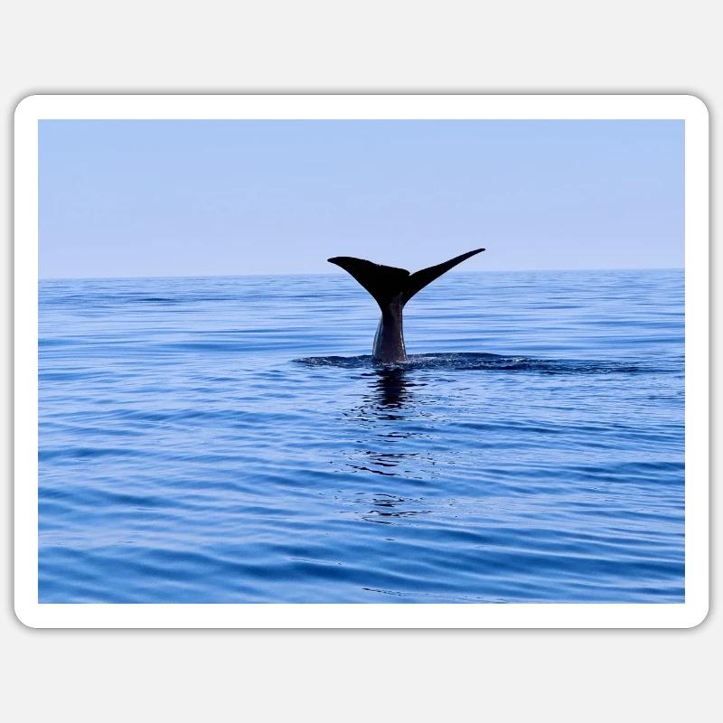 Wal Sticker Größe S (10 x 10 cm)