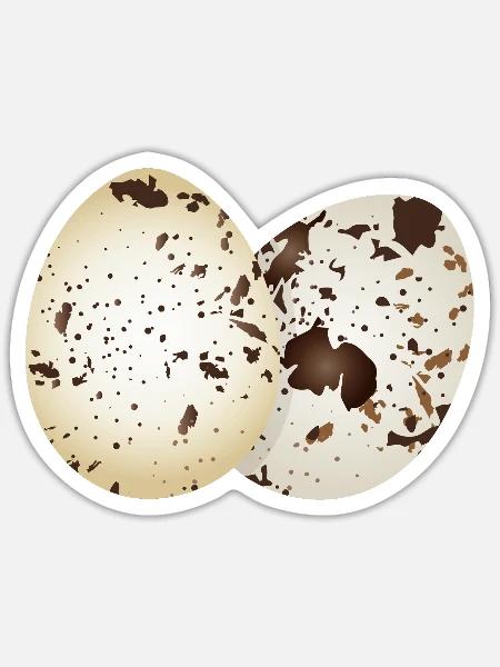 Gezeichnete Wachtel-Eier in natürlichen Farben - Sticker Größe S (10 x 10 cm) - Mattweiß