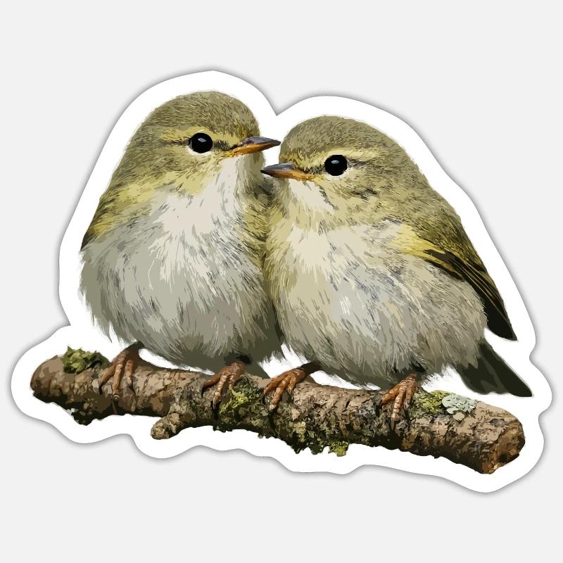 Chiffchaff auf Ast küssen - Sticker Größe S (10 x 10 cm) - Mattweiß