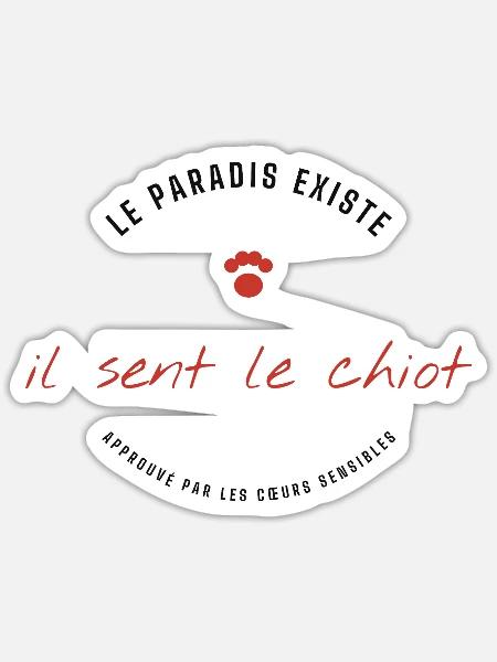  - Sticker taille S (10 x 10 cm) - blanc mat