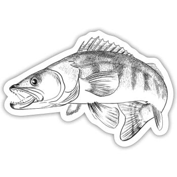 pike-perch - Sticker size S (10 x 10 cm) - white matte - Front
