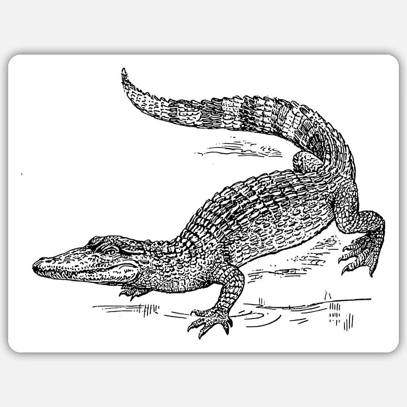 kroko 58 Sticker Größe S (10 x 10 cm)
