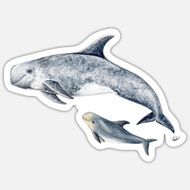 Risso - Grampus Dolphin - Dauphin Risso - Sticker Größe S (10 x 10 cm) - Mattweiß