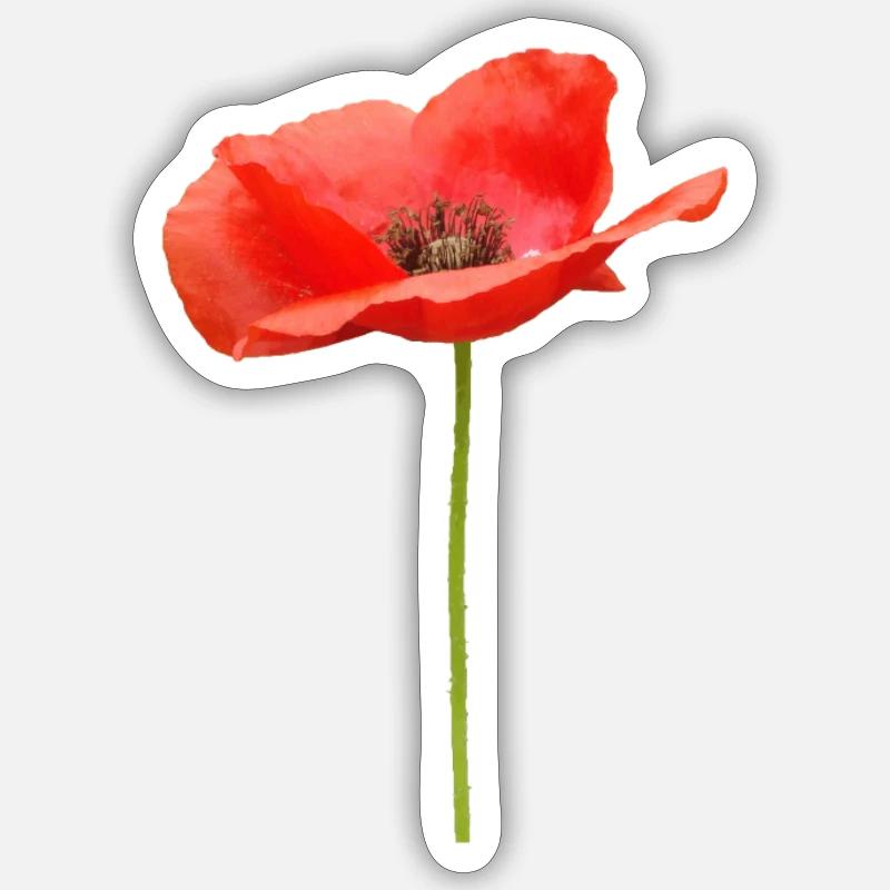 rote offene Mohnblume - Sticker Größe S (10 x 10 cm) - Mattweiß
