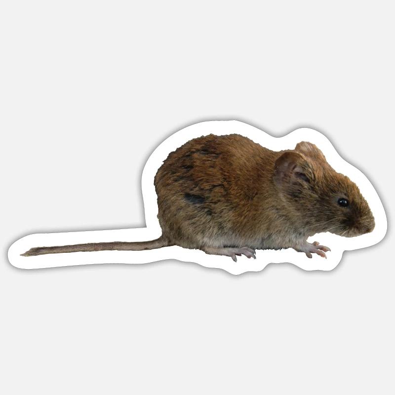 mouse - Sticker size S (10 x 10 cm) - white matte