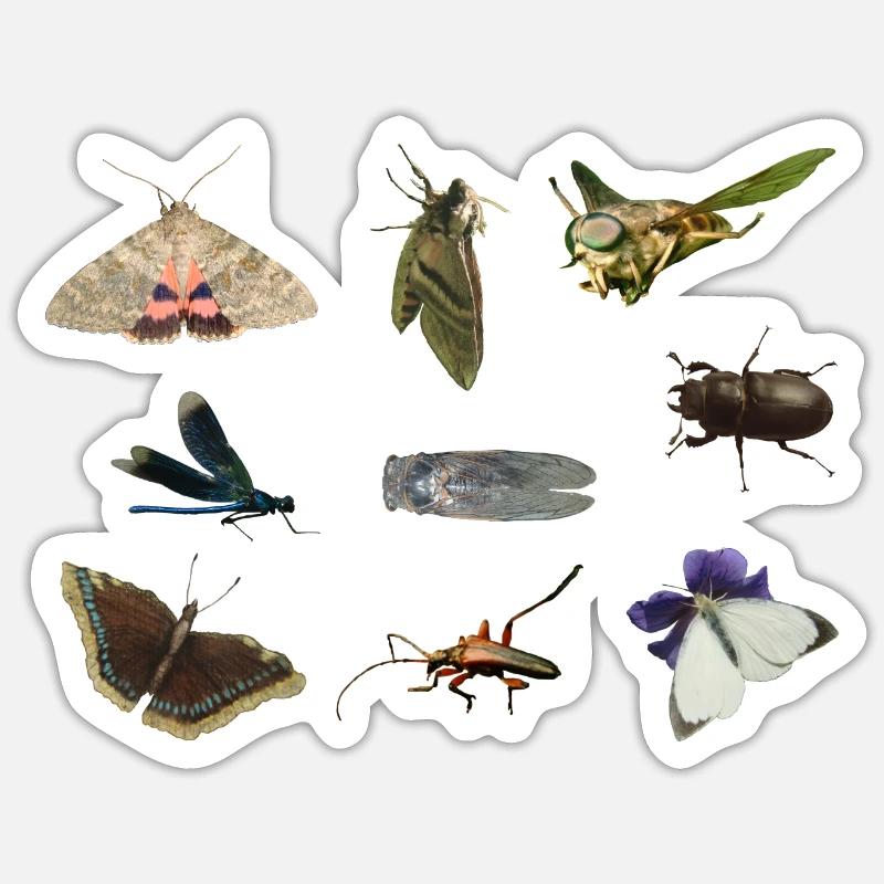 insecte - Sticker taille S (10 x 10 cm) - blanc mat