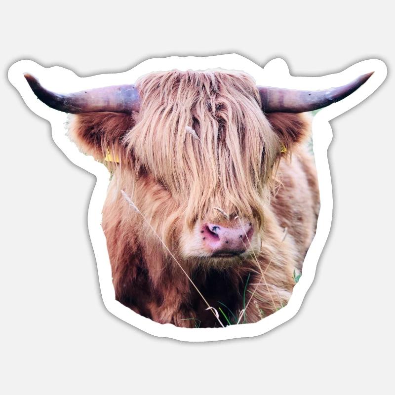 Highland Beef Sticker size S (10 x 10 cm)