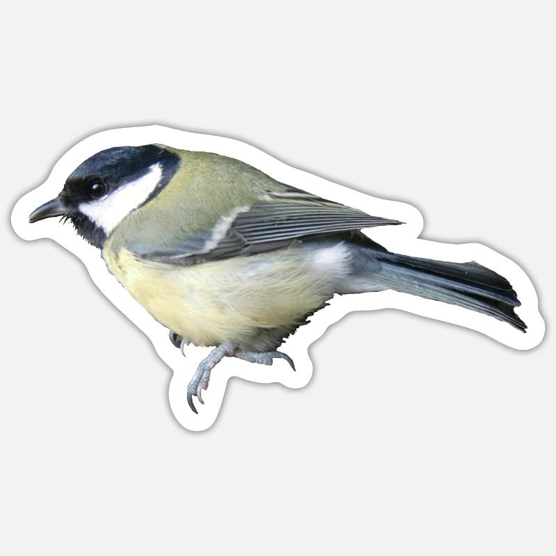 Vogel Kohlmeise - Sticker Größe S (10 x 10 cm) - Mattweiß
