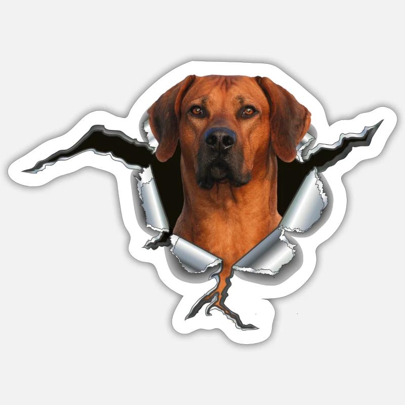 Rhodesian Ridgeback auf Metall Sticker Größe S (10 x 10 cm)