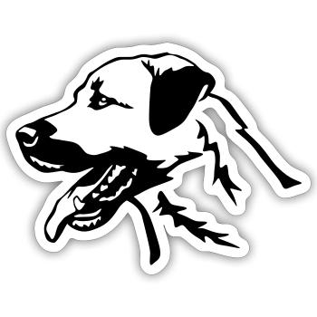 Kangal Kopf - Sticker Größe S (10 x 10 cm) - Mattweiß - Vorne