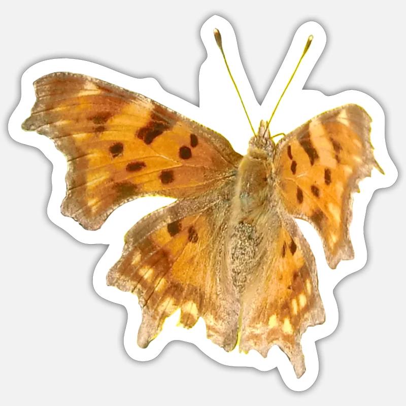Sticker formato S (10 x 10 cm) - 