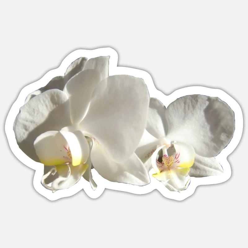 Orchidée blanche Sticker taille S (10 x 10 cm)