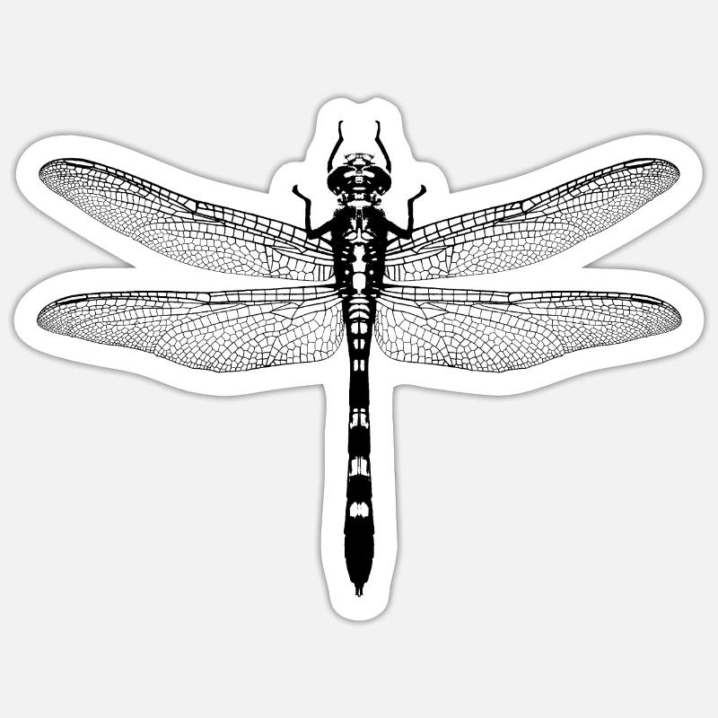 libelle / dragonfly / insect - Sticker size S (10 x 10 cm) - white matte