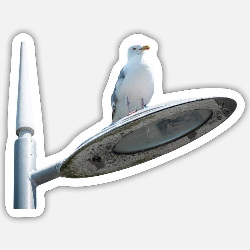 Möwe auf einer Lampe Post Sticker Größe S (10 x 10 cm)