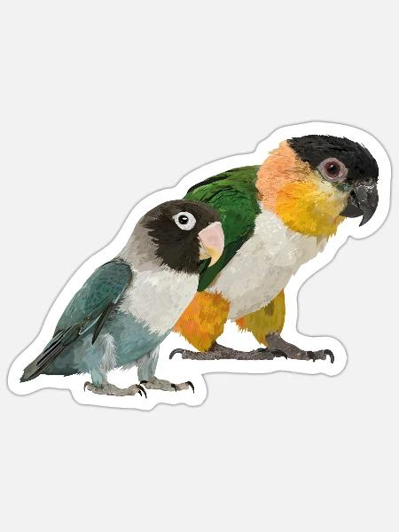 Caique und Agapornis - Sticker Größe S (10 x 10 cm) - Mattweiß