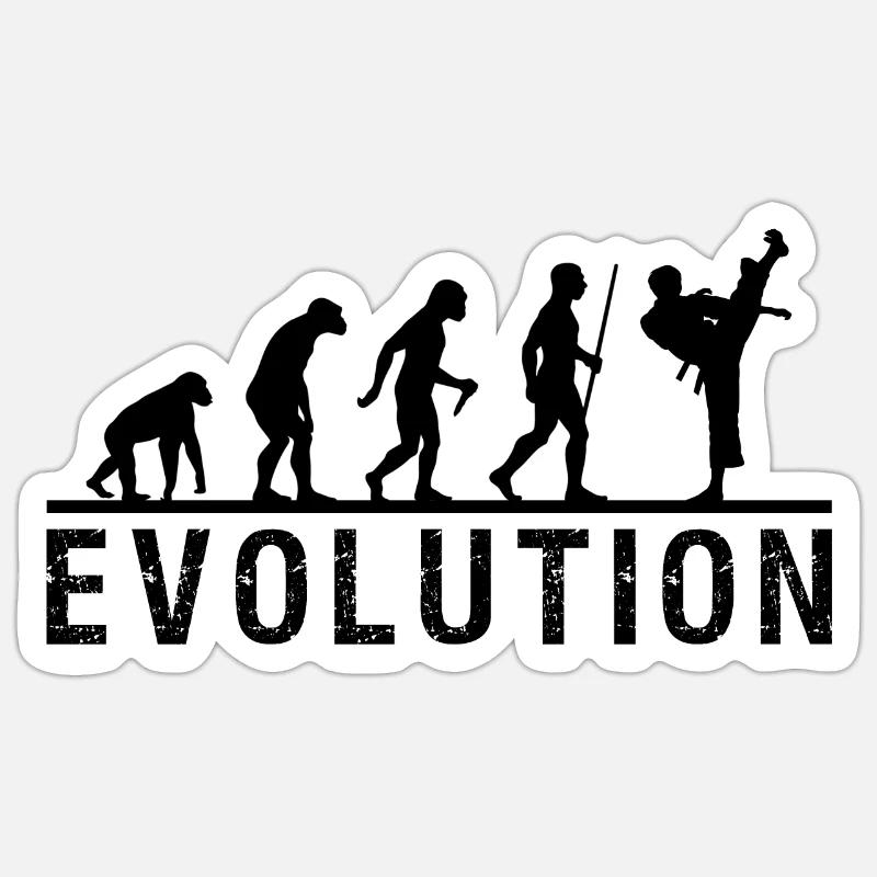 Taekwondo Evolution Chain Sticker size S (10 x 10 cm)