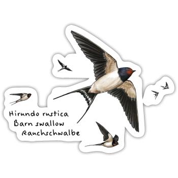 Hirondelles fumées - Sticker taille S (10 x 10 cm) - blanc mat - Devant