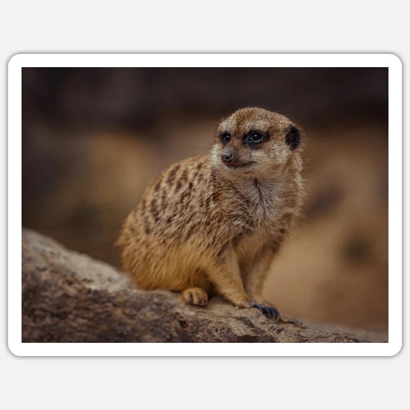 Erdmännchen Sticker Größe S (10 x 10 cm)