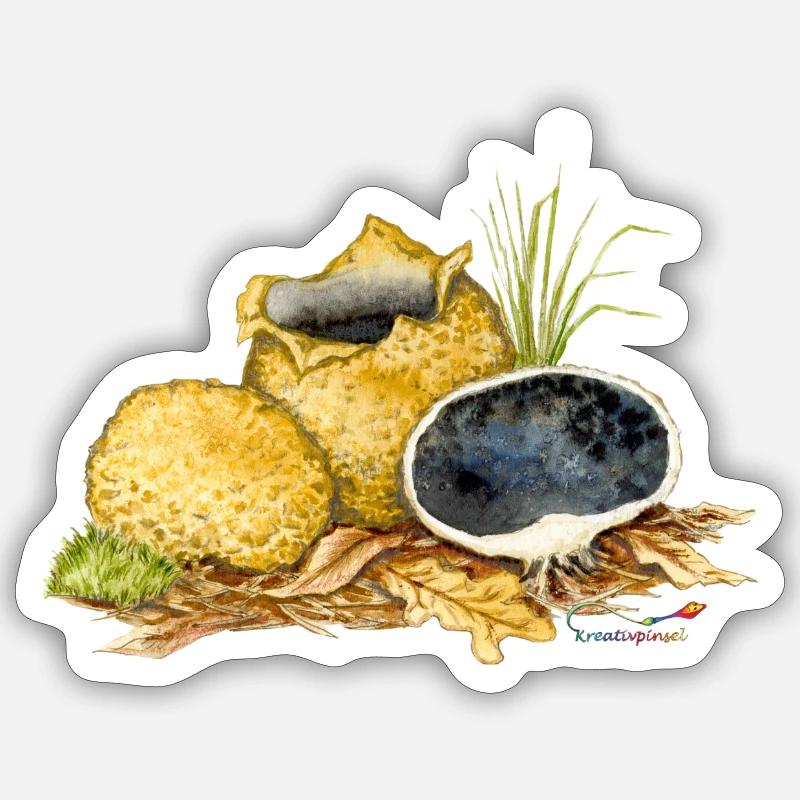 Potato bovist (Scleroderma citrinum) - Sticker size S (10 x 10 cm) - white matte