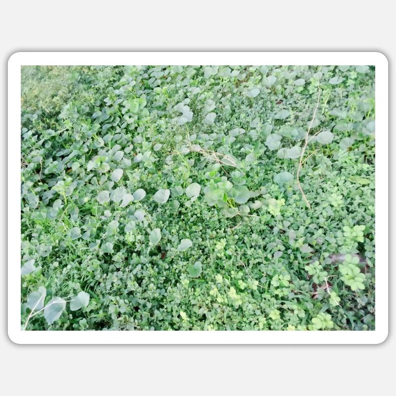 Grass Sticker size S (10 x 10 cm)