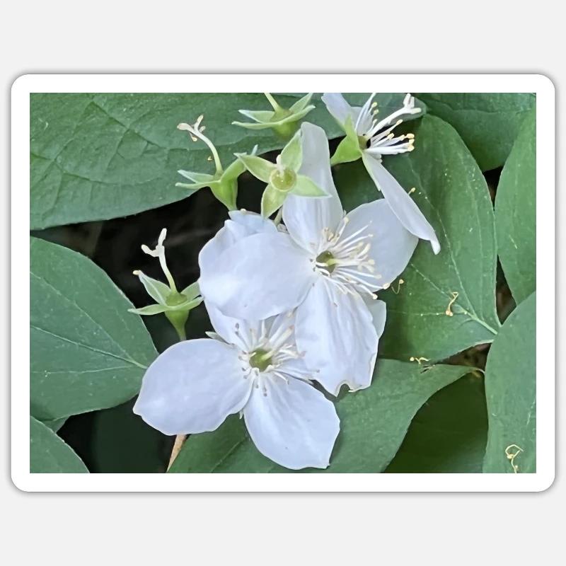 Fleur blanche - Sticker taille S (10 x 10 cm) - blanc mat