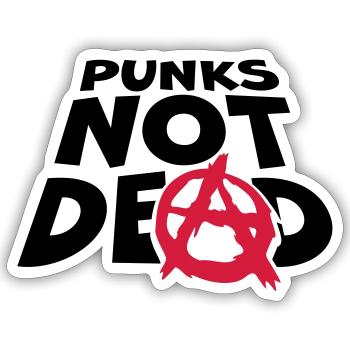 punks not dead quote - Sticker size S (10 x 10 cm) - white matte - Front
