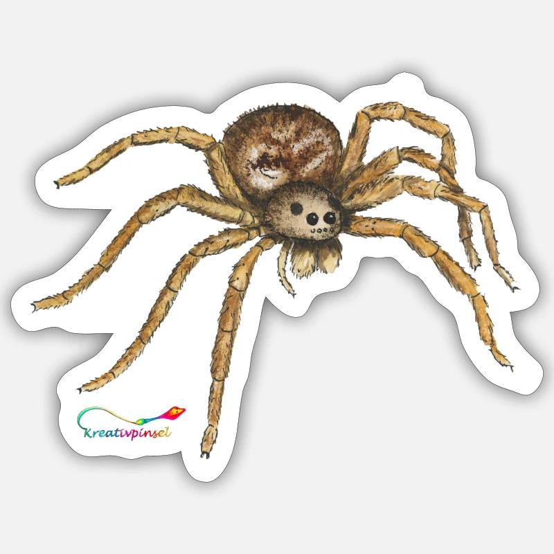 Wolf spider, a native spider Sticker size S (10 x 10 cm)