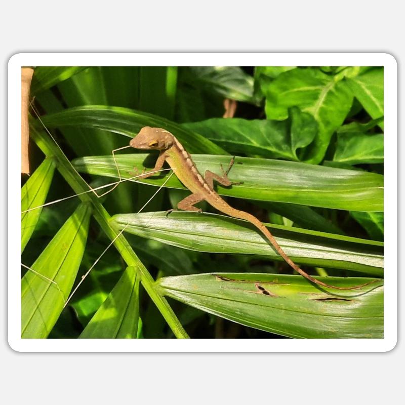 Lizard Sticker size S (10 x 10 cm)