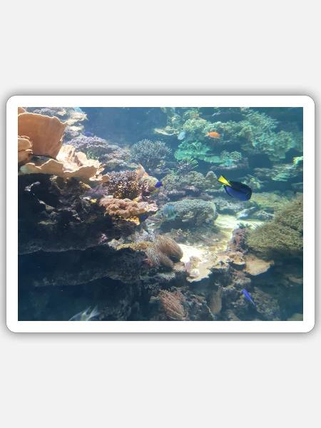 Aqua - Sticker Größe S (10 x 10 cm) - Mattweiß