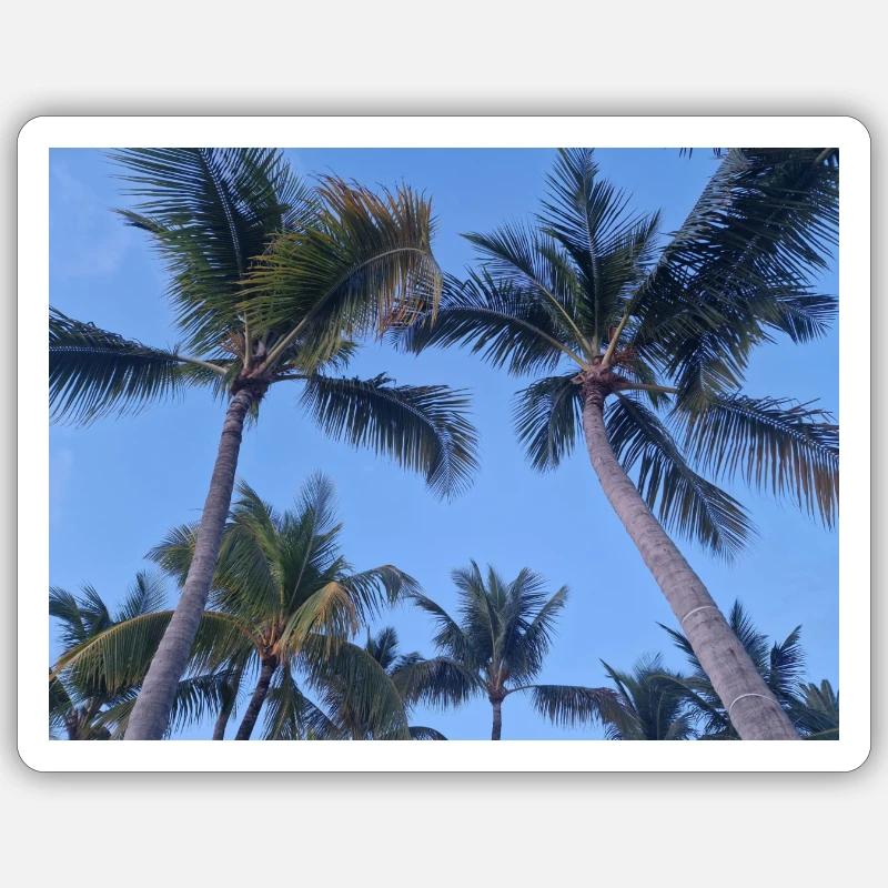 Palm tree Sticker size S (10 x 10 cm)