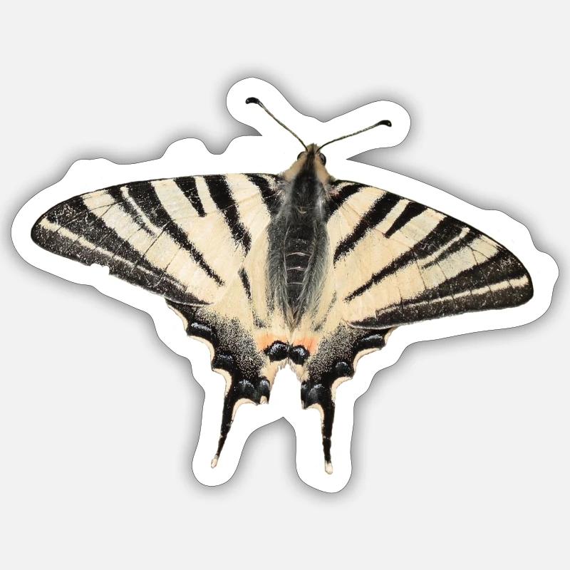 Scarce swallowtail - Sticker size S (10 x 10 cm) - white matte