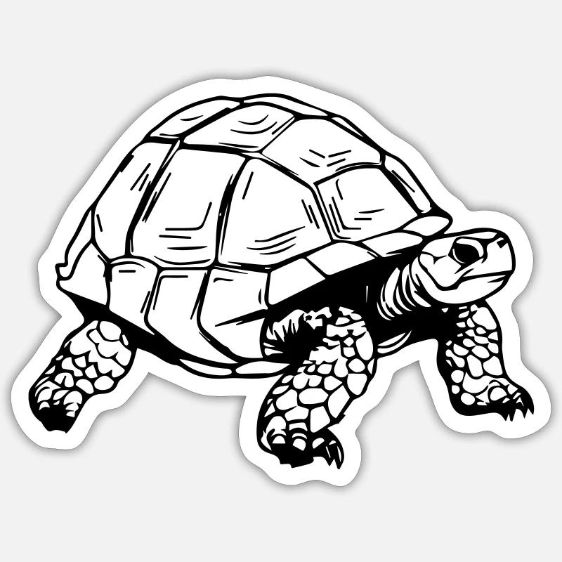 Tortoise Sticker size S (10 x 10 cm)