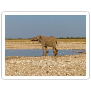 elephant and Landscape in a Etosha National Park - Sticker size S (10 x 10 cm) - white matte - Front
