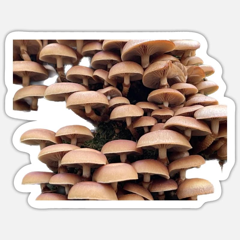 Zerbrechliches Einweichen - Sticker Größe S (10 x 10 cm) - Mattweiß