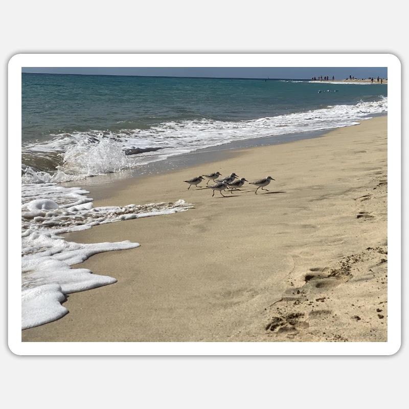 Run Bird run - Sticker size S (10 x 10 cm) - white matte