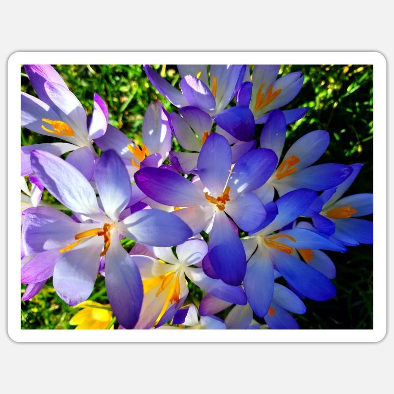 Spring awakening Sticker size S (10 x 10 cm)