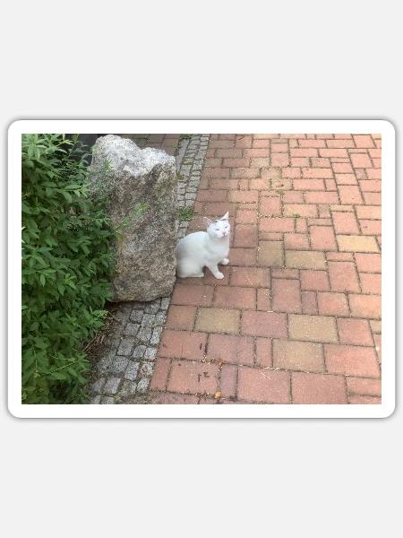 Katze Busch Mülltonne Stein - Sticker Größe S (10 x 10 cm) - Mattweiß