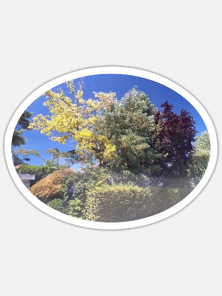 Bunte Bäume, blauer Himmel - Sticker Größe S (10 x 10 cm) - Mattweiß