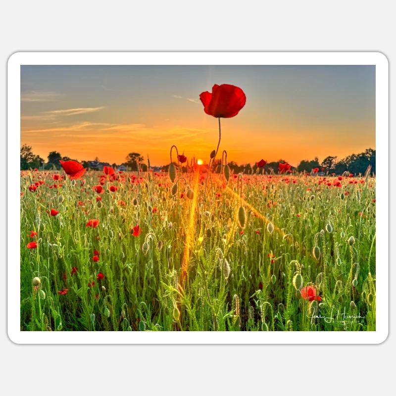 Mohnfeld Wolfsburg Sticker Größe S (10 x 10 cm)