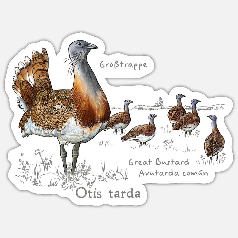 Great Bustard light - Sticker size S (10 x 10 cm) - white matte