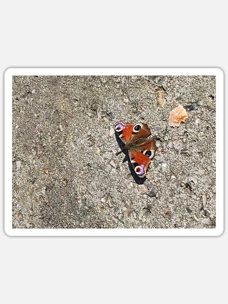 Schmetterlingsliebe - Sticker Größe S (10 x 10 cm) - Mattweiß