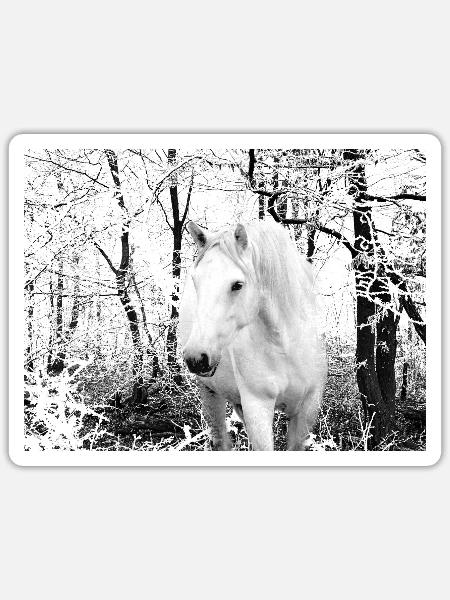 weißes Pferd im Winterwald - Sticker Größe S (10 x 10 cm) - Mattweiß