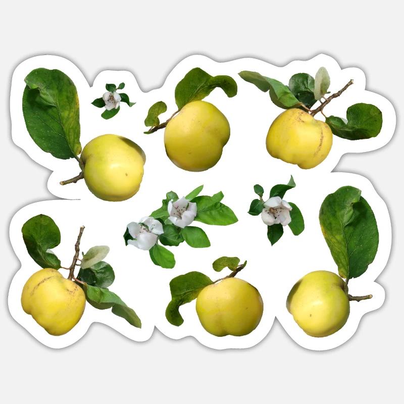 Quitten mit Quittenblüten - Sticker Größe S (10 x 10 cm) - Mattweiß