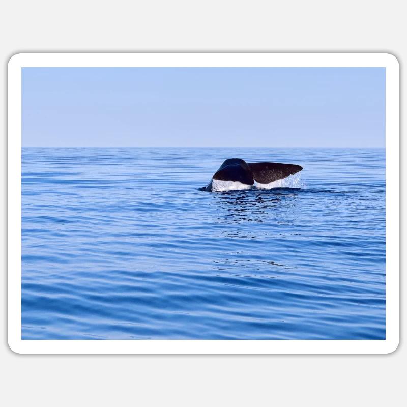 Wal Sticker Größe S (10 x 10 cm)